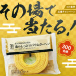 セブンイレブン 金のしっとりバウムクーヘン 無料クーポンがその場で当たる！ＳｋｙのInstagramプレゼントキャンペーン