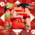 まりひめ いちごが当たる！藤本青果のInstagramプレゼントキャンペーン