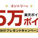 楽天ポイント15万ポイント山分けが当たる！楽天のプレゼントキャンペーン
