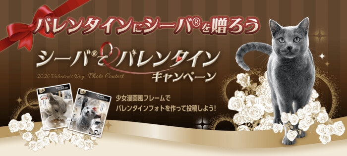 シーバ デュオ 全味種類＋レストランギフト2万円分などが当たる！マース ジャパン リミテッドのInstagramプレゼントキャンペーン