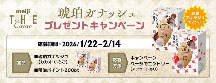 明治 ザ・カカオ 琥珀ガナッシュ、明治ポイント 200ptが当たる!明治のプレゼントキャンペーン