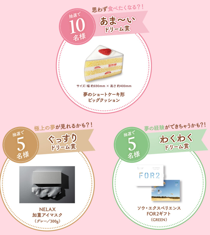 ショートケーキ型ビッグクッション、カタログギフトなど