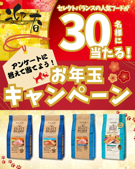 セレクトバランス 犬用 or 猫用フードが当たる！Instagramプレゼントキャンペーン