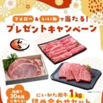 にいがた和牛1 kgが当たる！ＪＡ新潟中央会のInstagramプレゼントキャンペーン