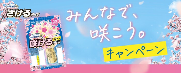 雪印メグミルク 「さけるチーズ みんなで、咲こう。」キャンペーン レシートで応募!その場で当たる!