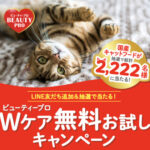 ビューティープロ Wケア キャットフードの無料サンプルがその場で当たる!日本ペットフードのLINEプレゼントキャンペーン