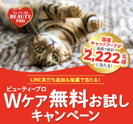 ビューティープロ Wケア キャットフードの無料サンプルがその場で当たる！日本ペットフードのLINEプレゼントキャンペーン