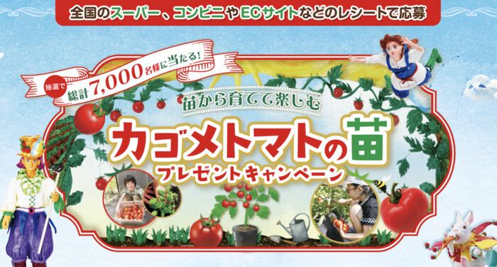 カゴメ 苗から育てて楽しむ カゴメトマトの苗プレゼントキャンペーン