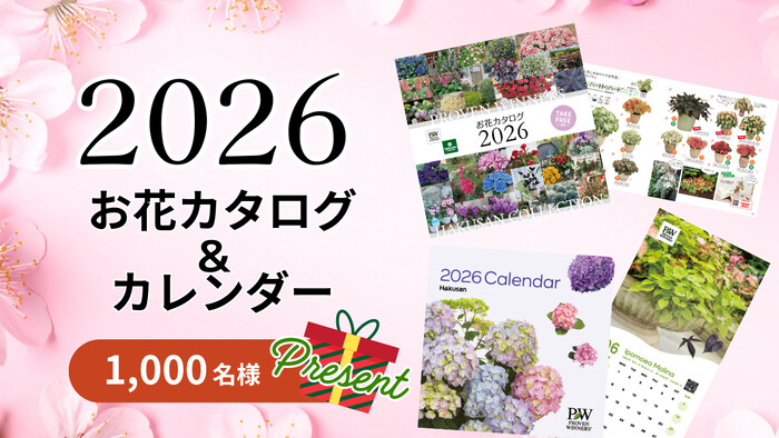 2026年 お花カタログ＆カレンダーが当たる！PWのプレゼントキャンペーン