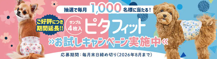 犬用おむつ ピタフィット 無料サンプルが当たる！アイリスプラザのプレゼントキャンペーン