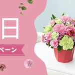 花キューピット 母の日 プレゼントキャンペーン2026