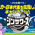 ノーベル製菓 シンサワーズグミ グミを食べてサッカー日本代表を応援しよう！キャンペーン