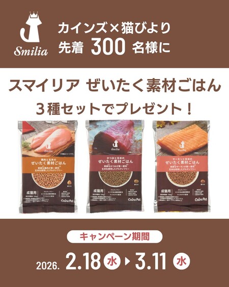 スマイリア ぜいたく素材ごはん キャットフード 無料サンプルが当たる！カインズ×猫びよりのプレゼントキャンペーン