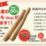 青森県産ながいも 5kg、 Amazonデジタルギフト500円分が当たる！JA全農あおもりのプレゼントキャンペーン