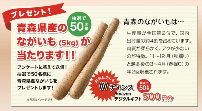 青森県産ながいも 5kg、 Amazonデジタルギフト500円分が当たる！JA全農あおもりのプレゼントキャンペーン