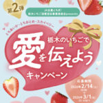 JA全農とちぎ 栃木のいちごで愛を伝えようキャンペーン
