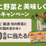 ケンミン食品 ケンミン焼ビーフン 「手軽に野菜と美味しく！」レシートキャンペーン