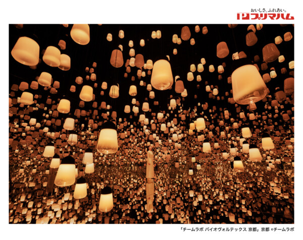 フレスコ×プリマハム チームラボ バイオヴォルテックス 京都 ご招待キャンペーン