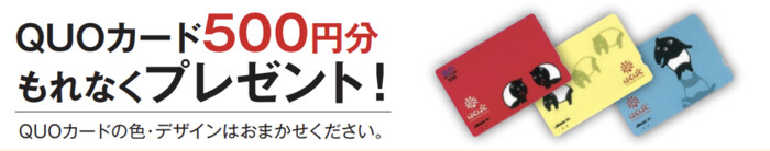 はくばくオリジナルQUOカード500円分