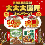 ハウス食品 新商品発売記念！大大大還元キャンペーン！