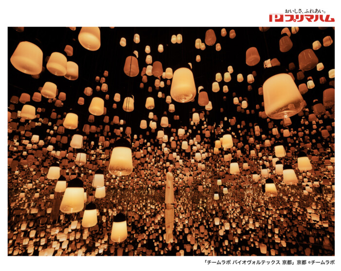 近商ストア×プリマハム チームラボ バイオヴォルテックス 京都 ご招待キャンペーン