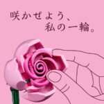 レゴ ボタニカル ピンクのバラ 無料クーポンが当たる！レゴジャパンのLINEプレゼントキャンペーン