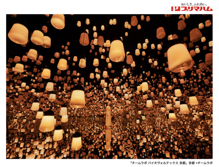 コノミヤ・マルシゲ・松源・マルアイ×プリマハム チームラボ バイオヴォルテックス 京都 ご招待キャンペーン