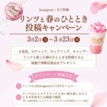 リンツと春のひととき投稿キャンペーン
