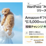 Amazonギフト券最大5,000円分が当たる！Wan!Pass(ワンパス) のプレゼントキャンペーン