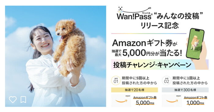 Amazonギフト券最大5,000円分が当たる!Wan!Pass(ワンパス) のプレゼントキャンペーン