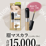 ヘビーローテーション カラーリングアイブロウEX 無料サンプルが当たるLINEキャンペーン