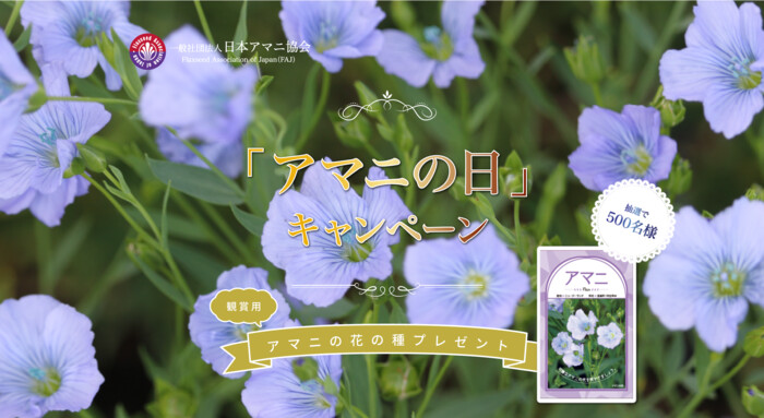 観賞用アマニの花の種が当たる！日本アマニ協会のプレゼントキャンペーン