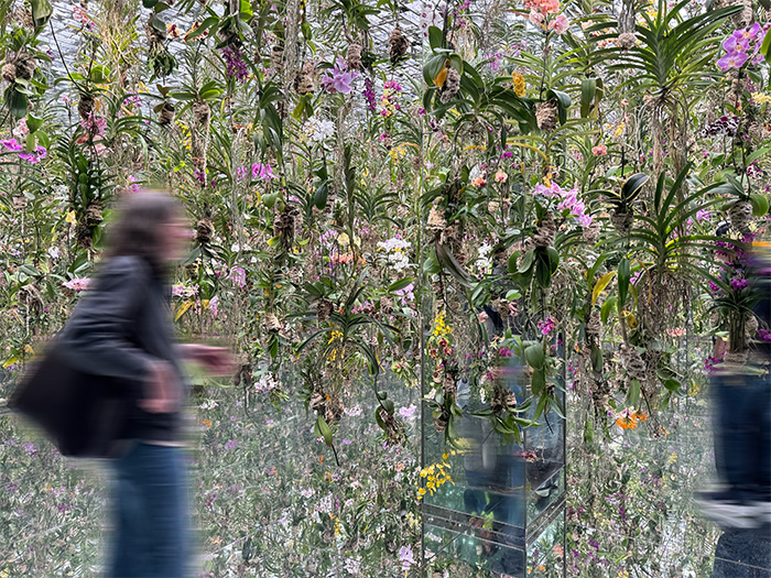 チームラボ プラネッツのお花のアート作品