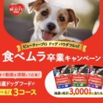 ビューティープロ 国産ドッグフードが当たる！日本ペットフードのプレゼントキャンペーン