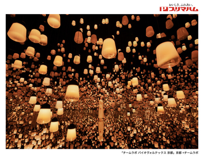 食品館アプロ×プリマハム チームラボ バイオヴォルテックス 京都 ご招待キャンペーン