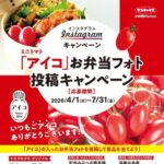 サカタのタネ ミニトマト「アイコ」お弁当フォト投稿キャンペーン