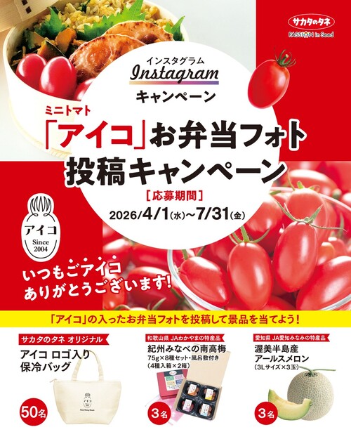 サカタのタネ ミニトマト「アイコ」お弁当フォト投稿キャンペーン