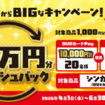 金鳥(KINCHO) シンカトリ キャッシュバックキャンペーン