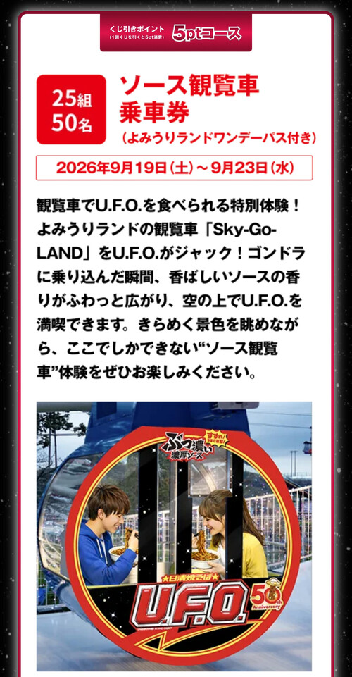 ソース観覧車乗車券