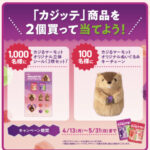 ロッテ カジッテ カジる! マーモットオリジナルグッズが当たるキャンペーン