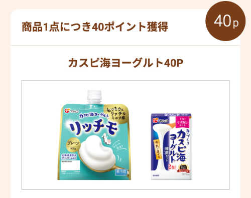 カスピ海ヨーグルト40P