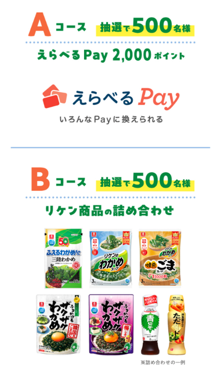 えらべるPay 2,000ポイント、リケンの商品詰め合わせ