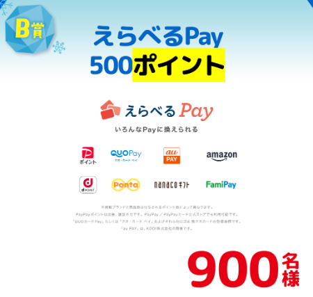 えらべるPay 500ポイント