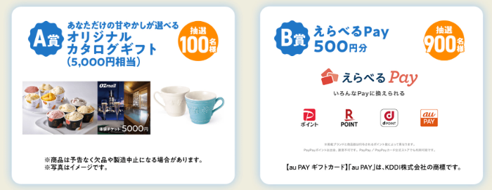 カタログギフト5,000円分、えらべるPay500ポイント