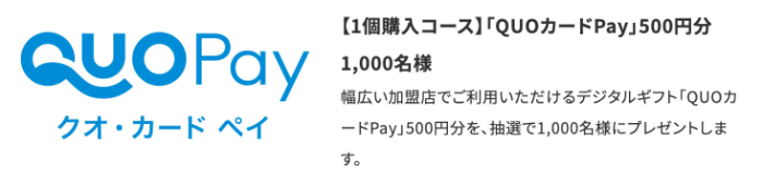 QUOカードPay500円分