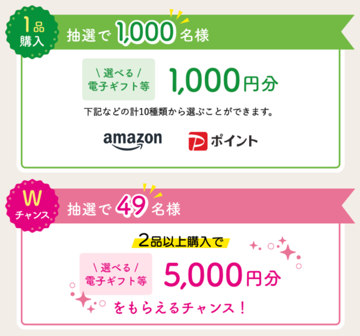 選べる電子ギフト券 最大5,000円分