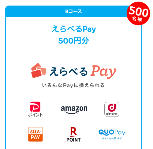 えらべるPay500円分