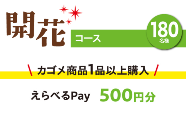 えらべるPay500円分