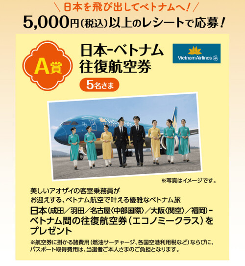 日本-ベトナム往復航空券