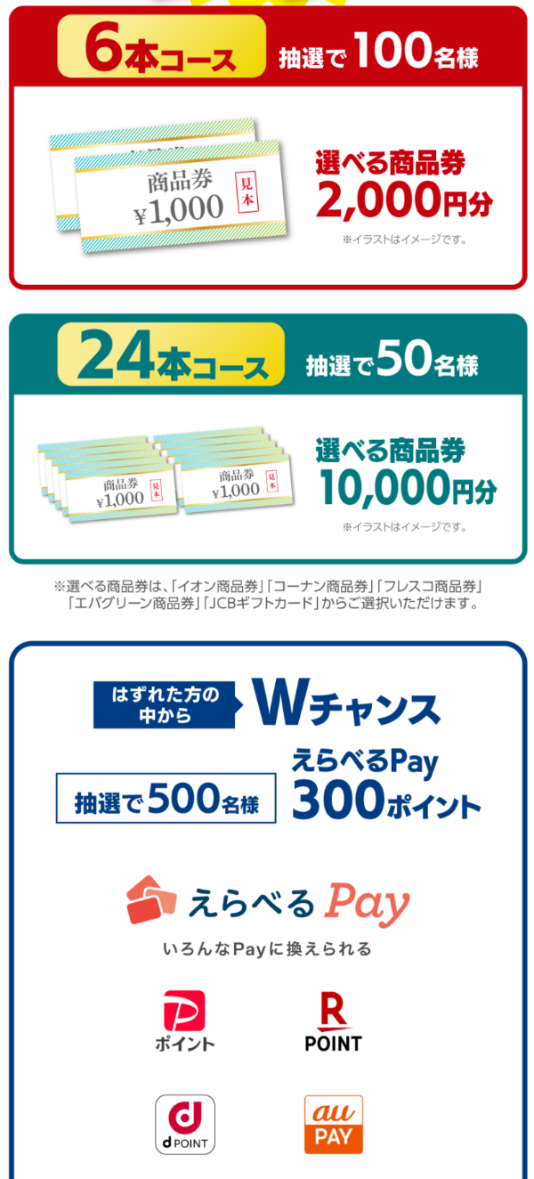 選べる商品券最大1万円分、えらべるPay300円分